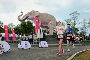 BIB: 
                            <button type="button" onclick="openModal(26528977)" class="btn btn-primary btn-sm float-right btn-popup" data-toggle="modal" data-target=".modal-high-quality">
                        <i class="fas fa-shopping-cart"></i> Add to Cart
                    </button>
                                            <button type="button" onclick="isThisMe(26528977, true)" class="btn btn-success btn-sm float-right btn-popup btn-isme hidden" data-toggle="tooltip" data-placement="bottom" title="นี่คือรูปของคุณใช่ไหม คลิกที่นี่เพื่อเอาเข้าอัลบั้ม">
                        <i class="fas fa-plus"></i> Add to album
                    </button>
                    <button type="button" onclick="isThisMe(26528977, false)" class="btn btn-warning btn-sm float-right btn-popup btn-isnotme hidden">
                        <i class="fas fa-ban"></i> Remove from album
                    </button>